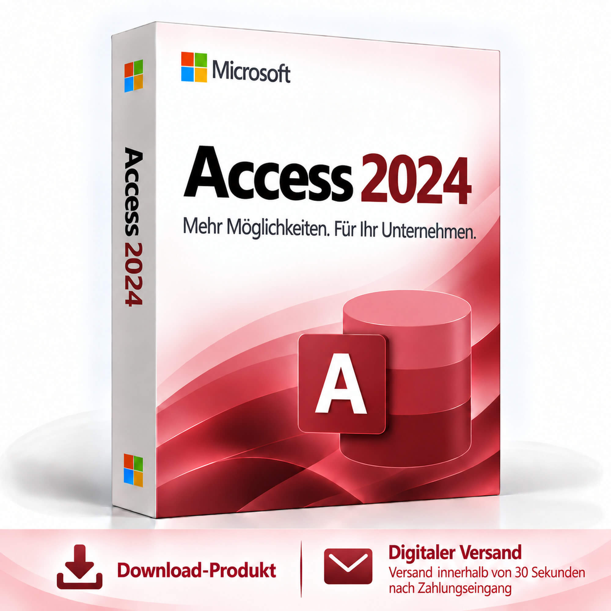 Microsoft Access 2024