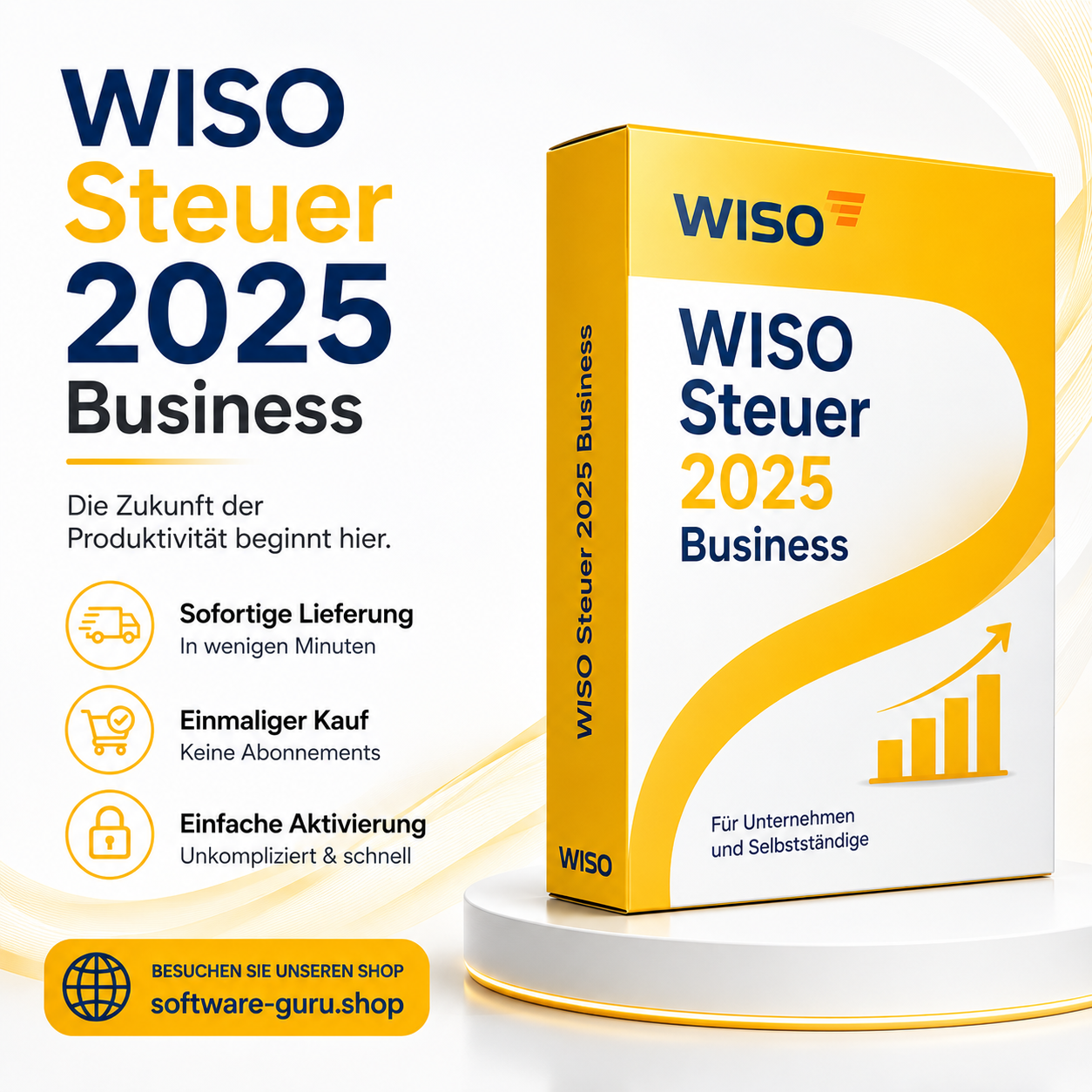WISO Steuer 2025 Business