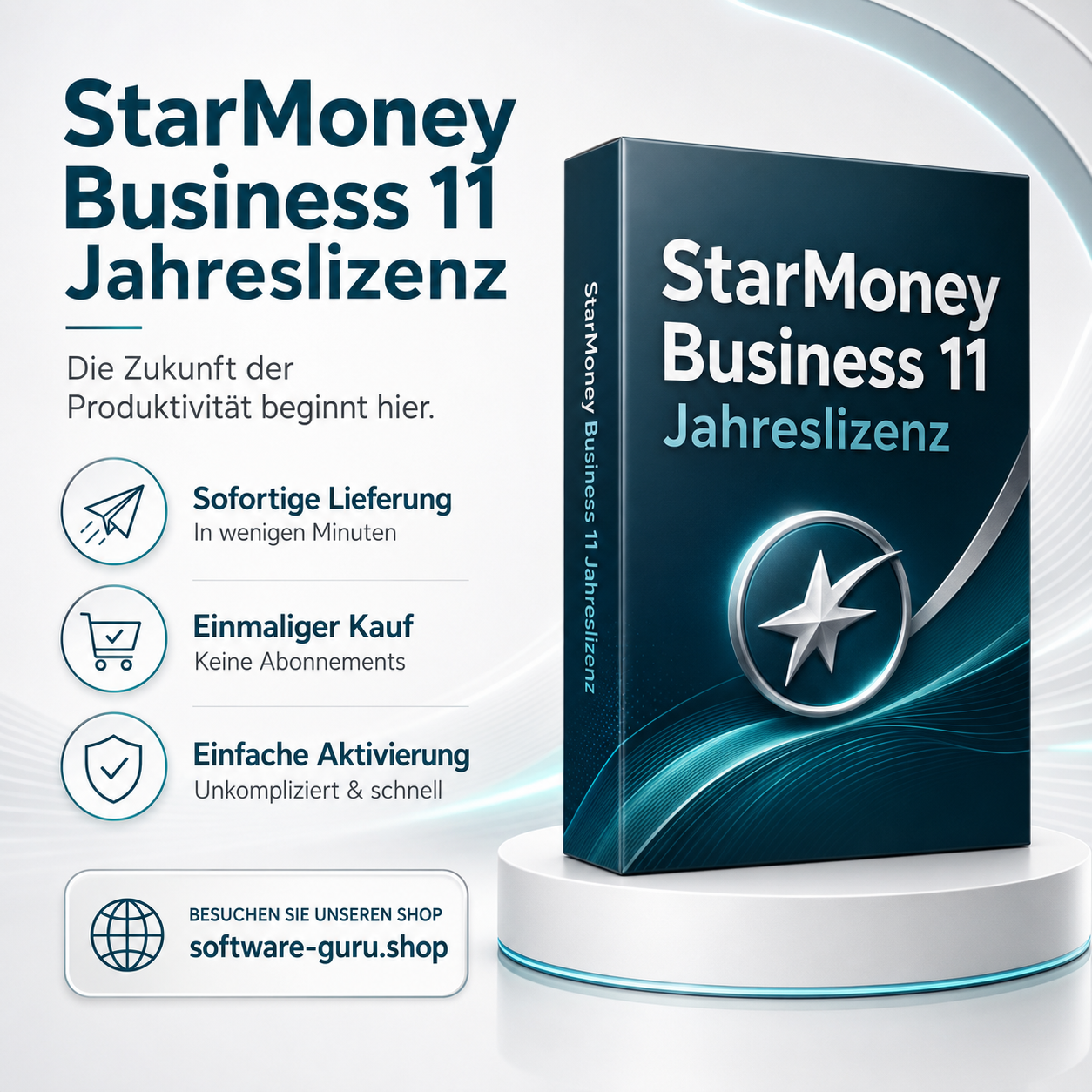 StarMoney Business 11 Jahreslizenz