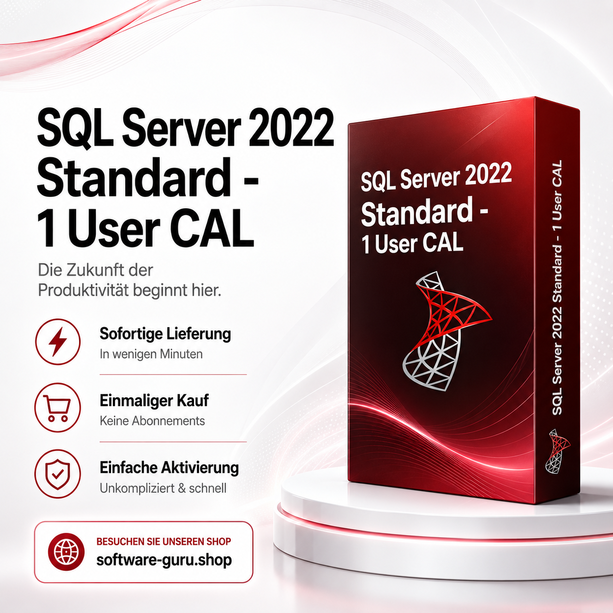 SQL Server 2022 Standard - 1 User CAL