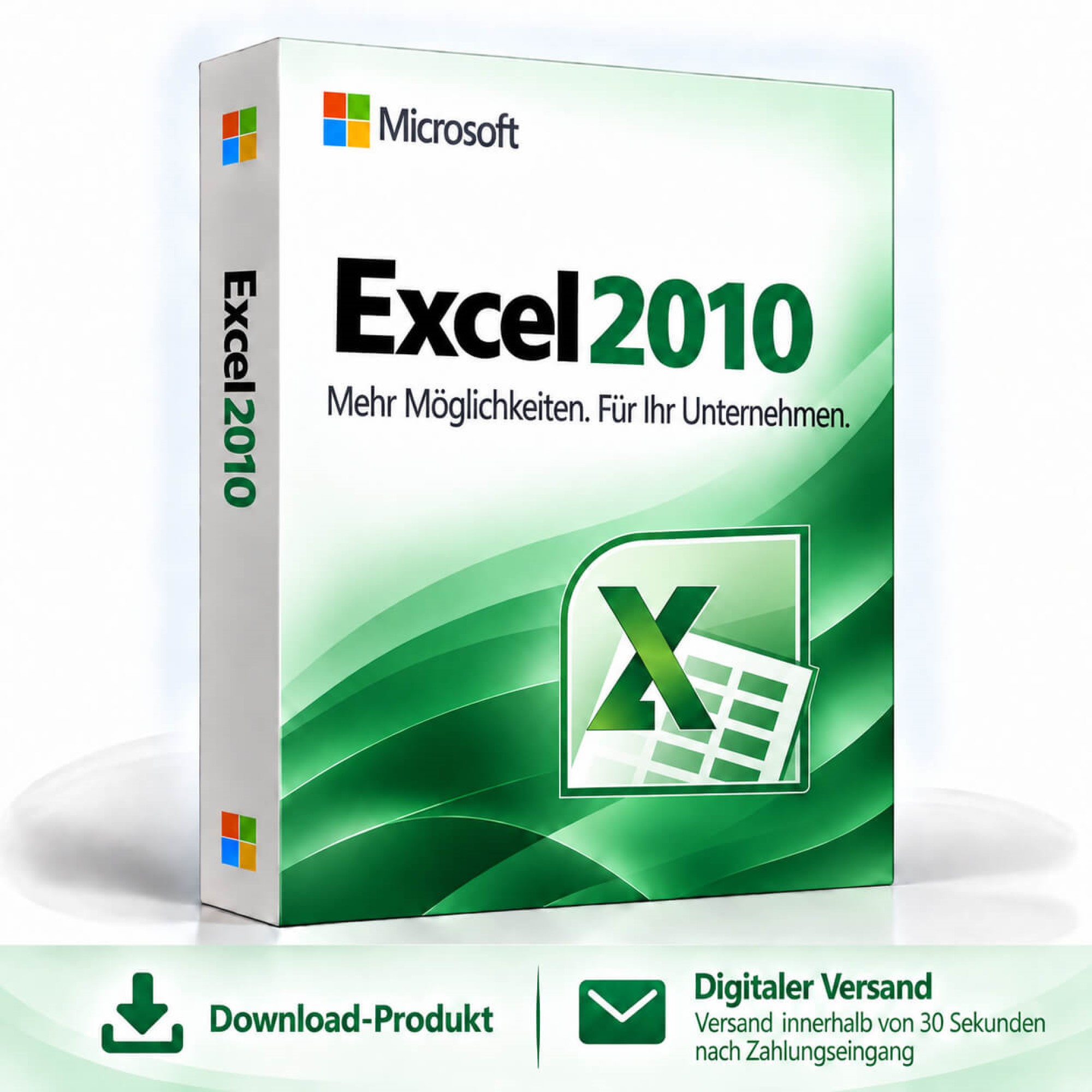 Microsoft Excel 2010