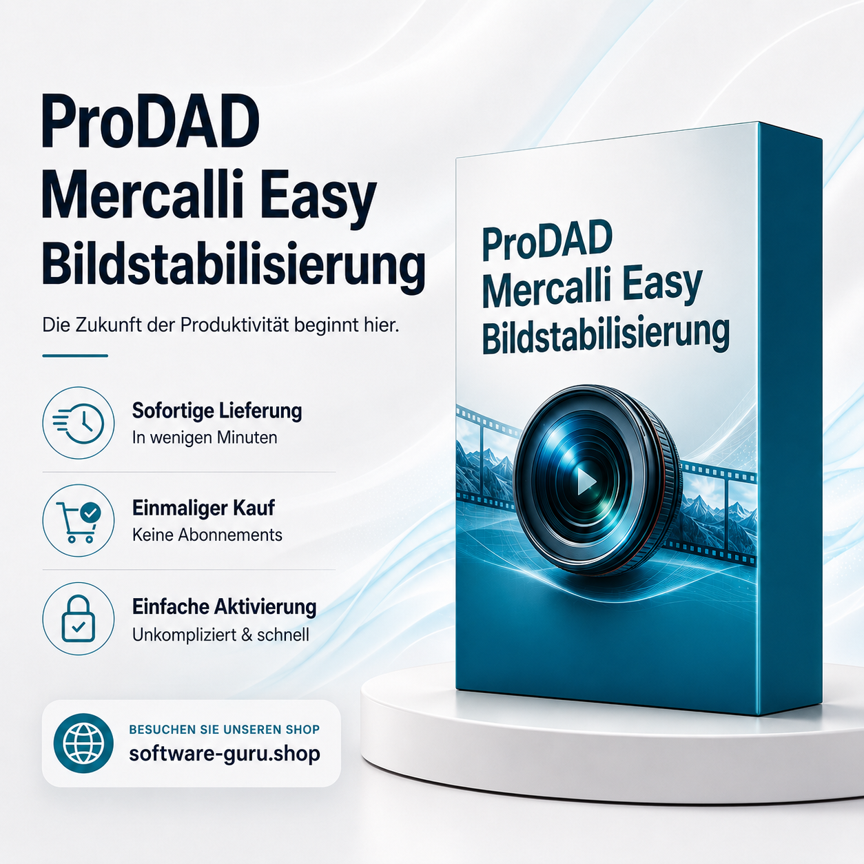 ProDAD Mercalli Easy Bildstabilisierung