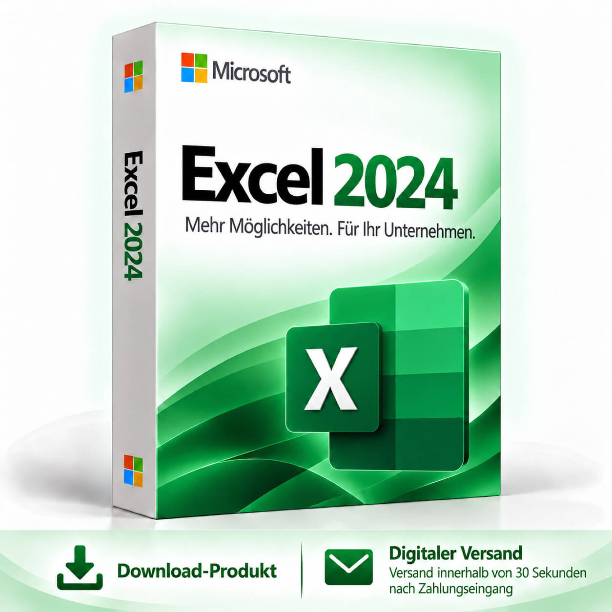 Microsoft Excel 2024