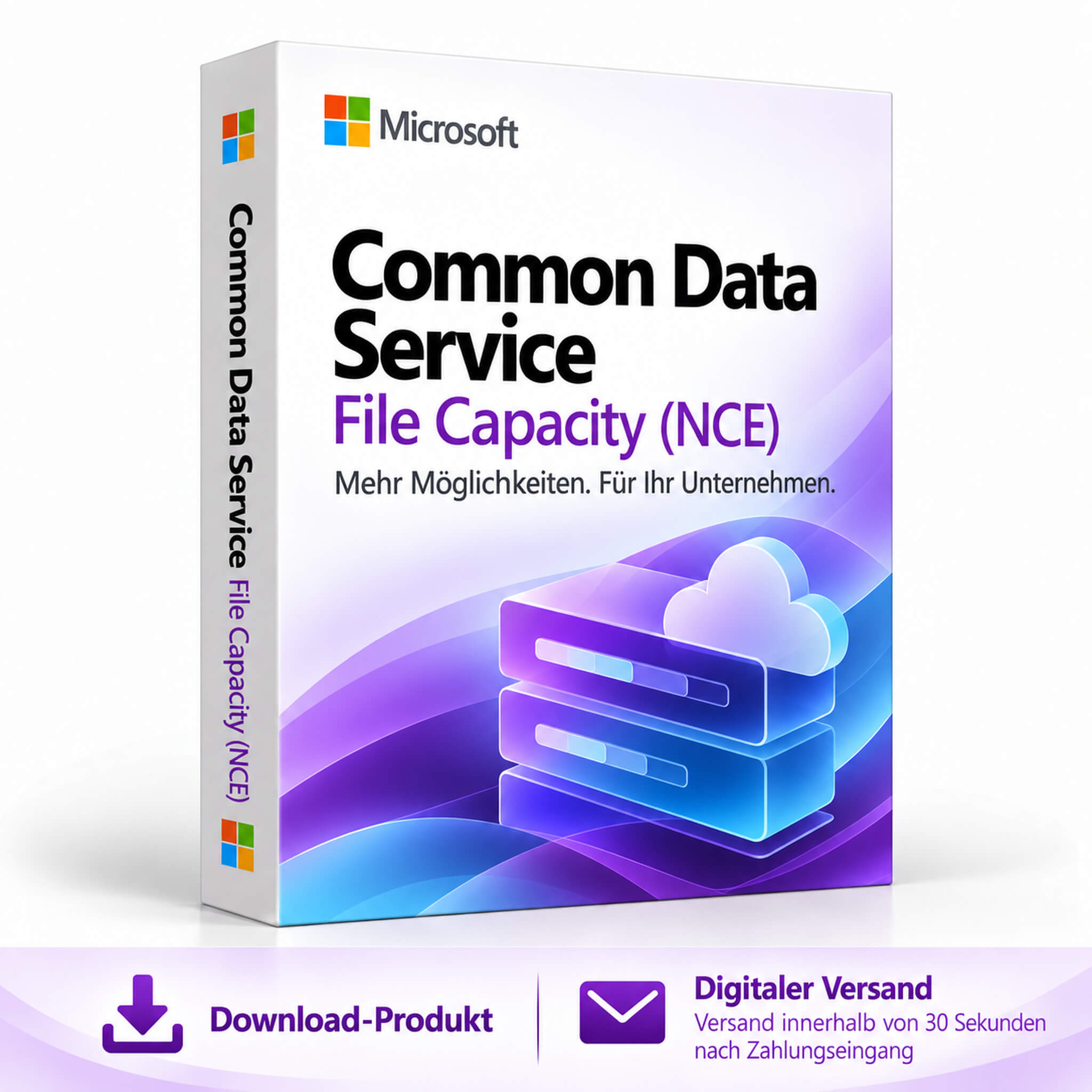 Common Data Service File Capacity (NCE)