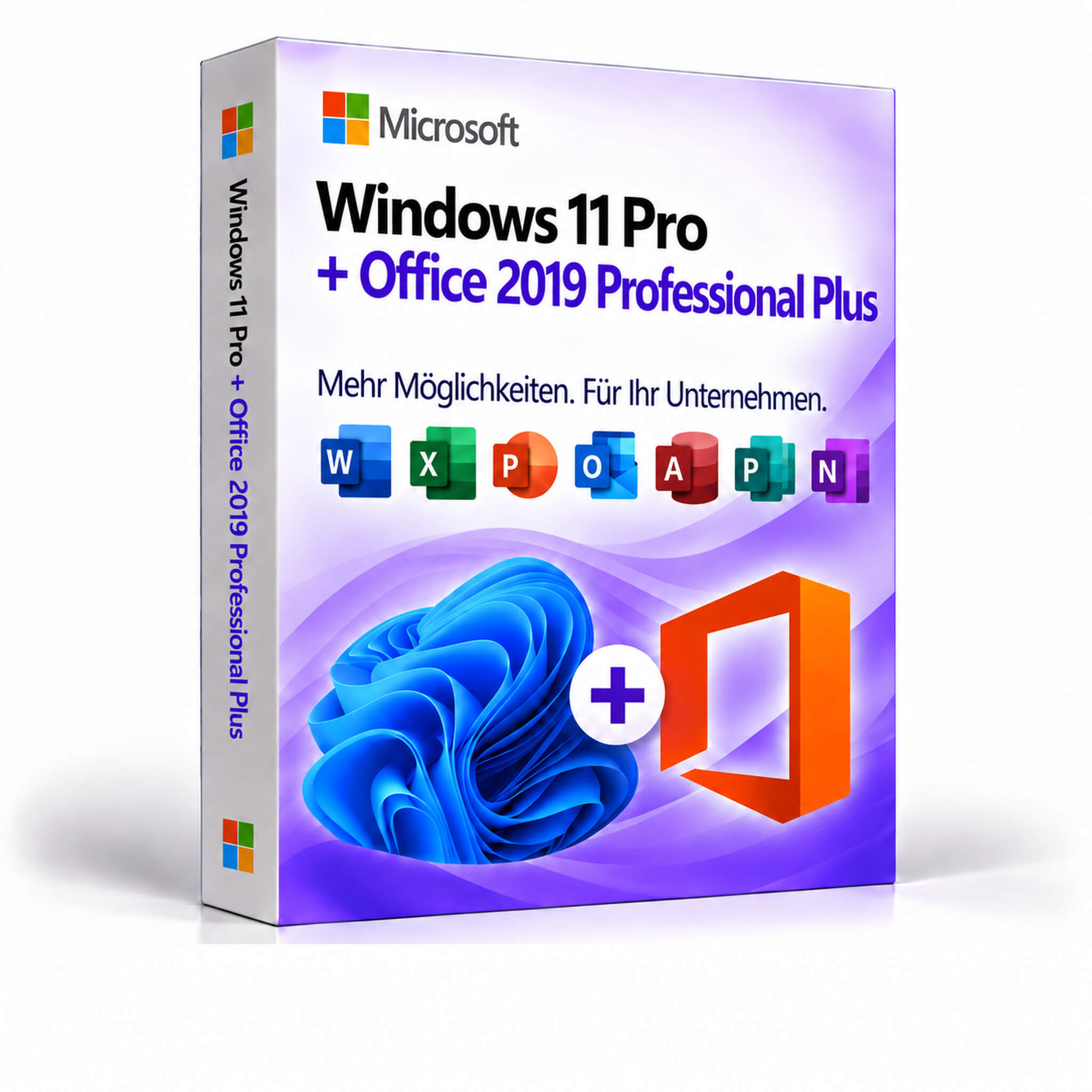 Windows 11 Pro + Office 2019 Professional Plus