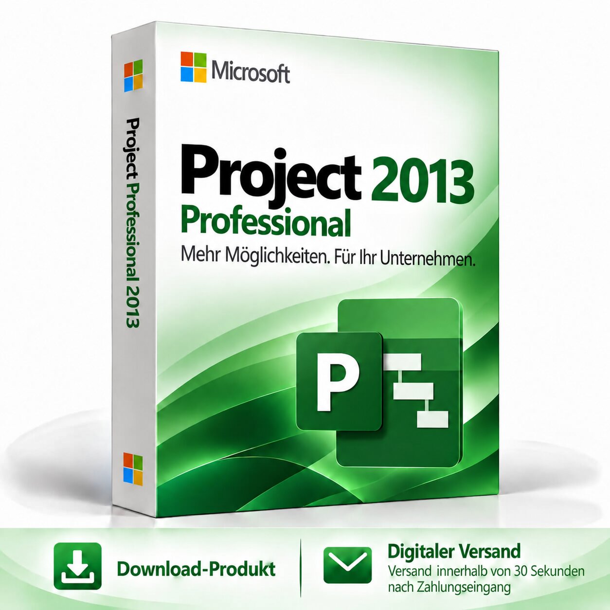 Microsoft Project 2013 Professional