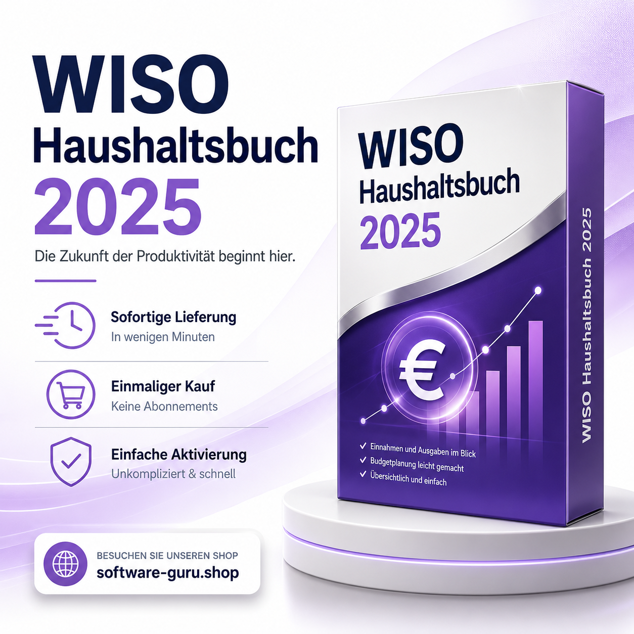 WISO Haushaltsbuch 2025