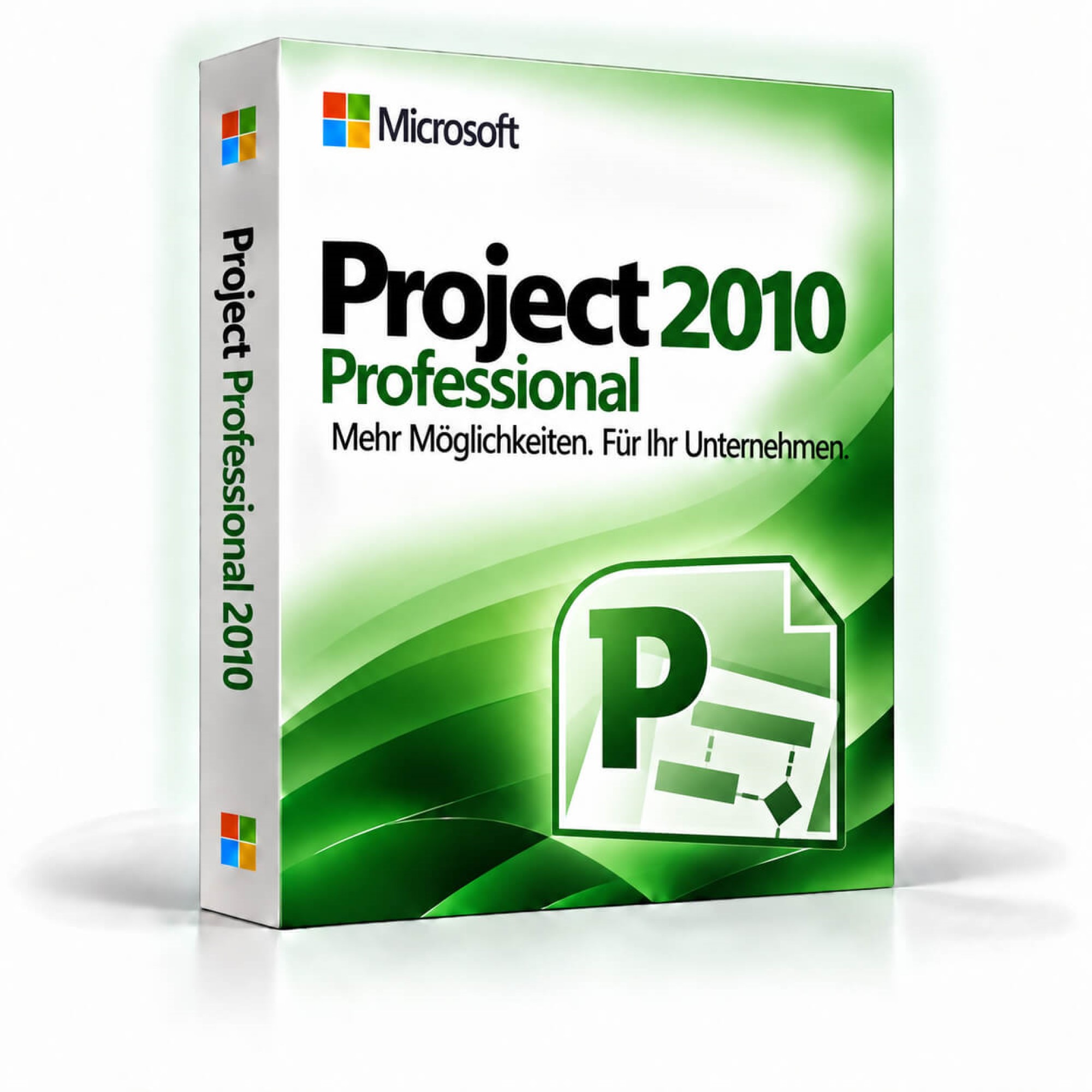 Microsoft Project 2010 Professional