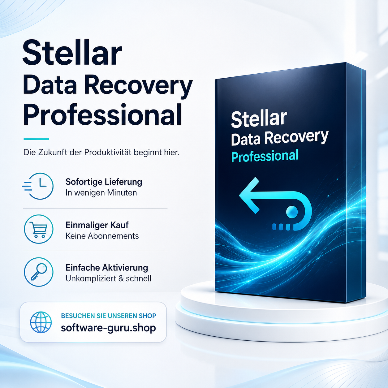 Stellar Data Recovery Professional