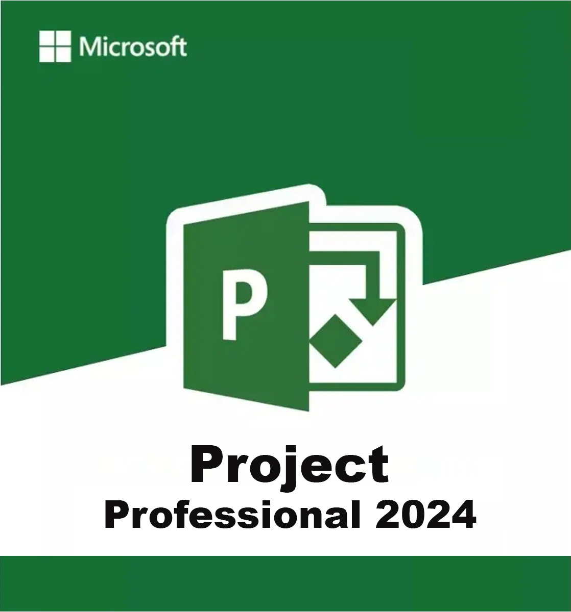 Microsoft Project 2024 Professional Dauerlizenz kaufen