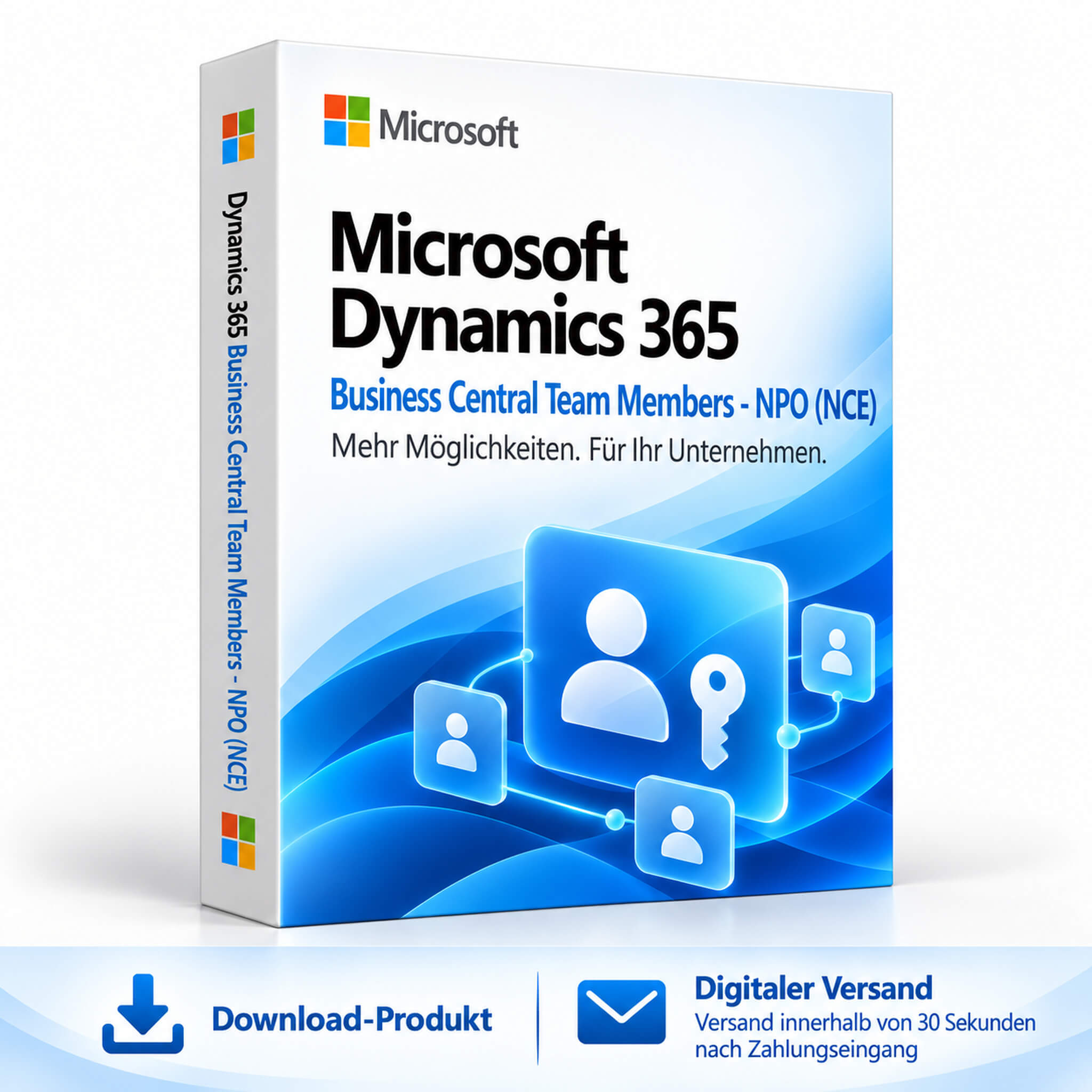 Microsoft Dynamics 365 Business Central Team Members - NPO (NCE)