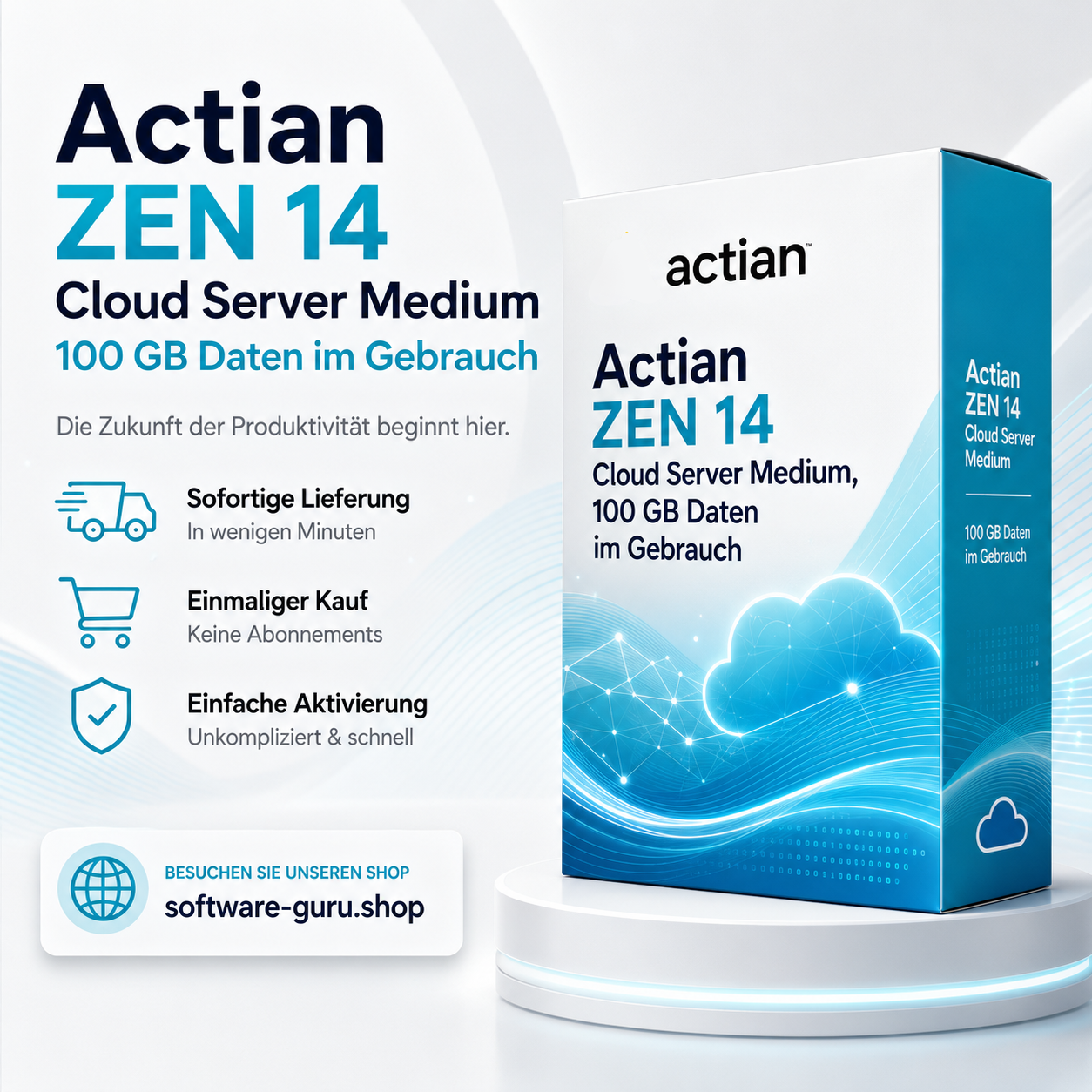 Actian ZEN 14 Cloud Server Medium, 100 GB Daten im Gebrauch