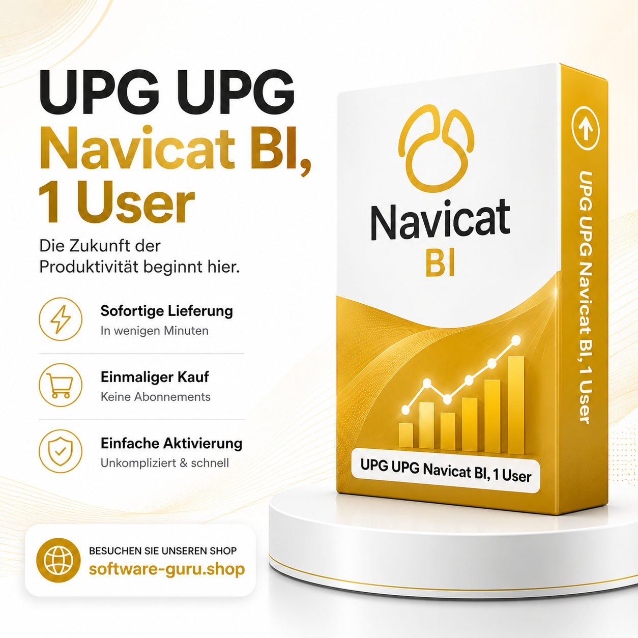 UPG Navicat BI, 1 User