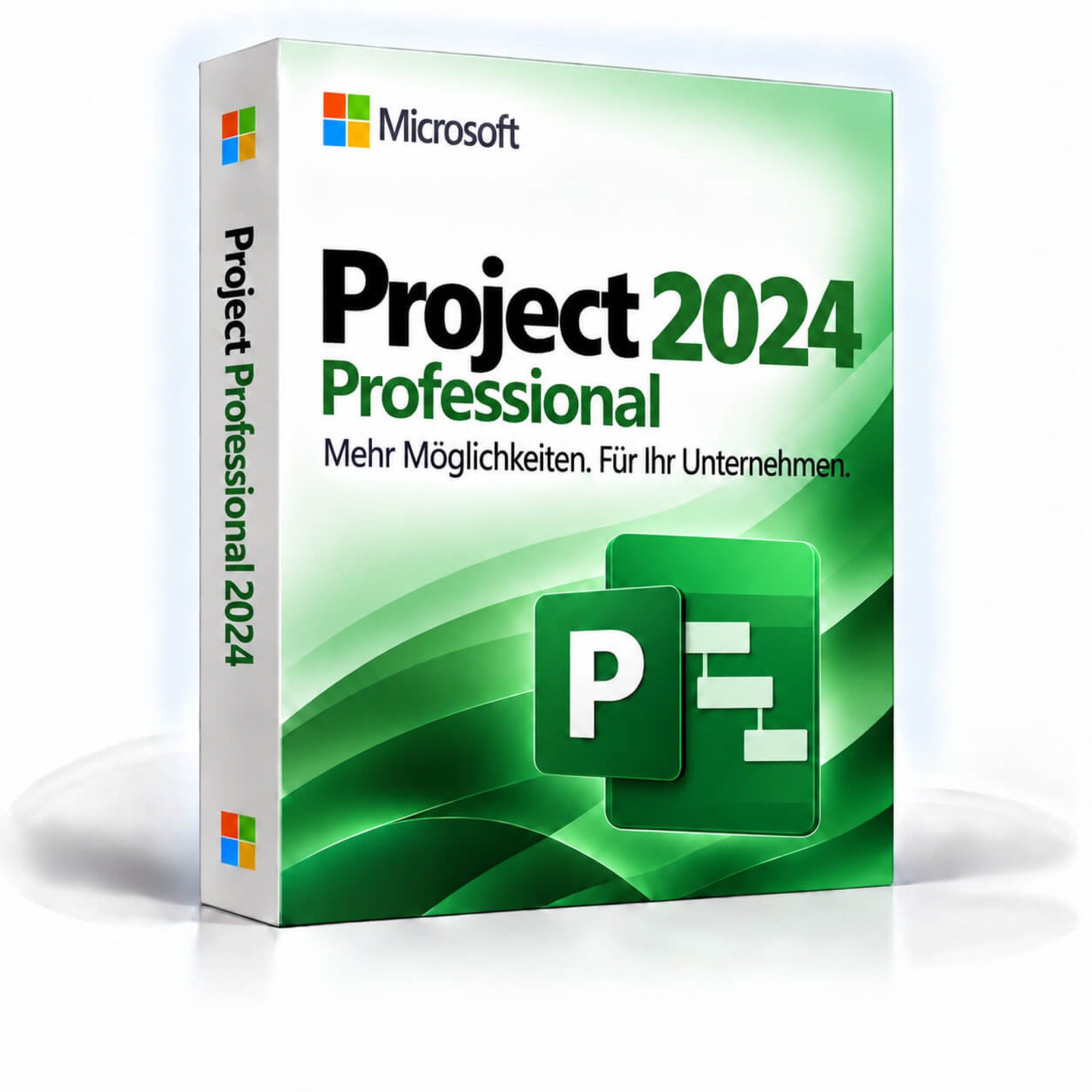 Microsoft Project 2024 Professional