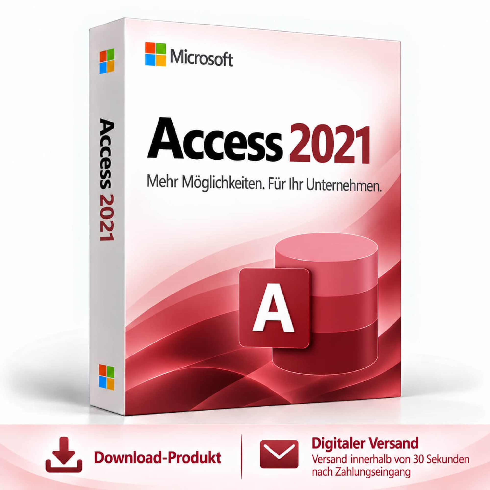 Microsoft Access 2021