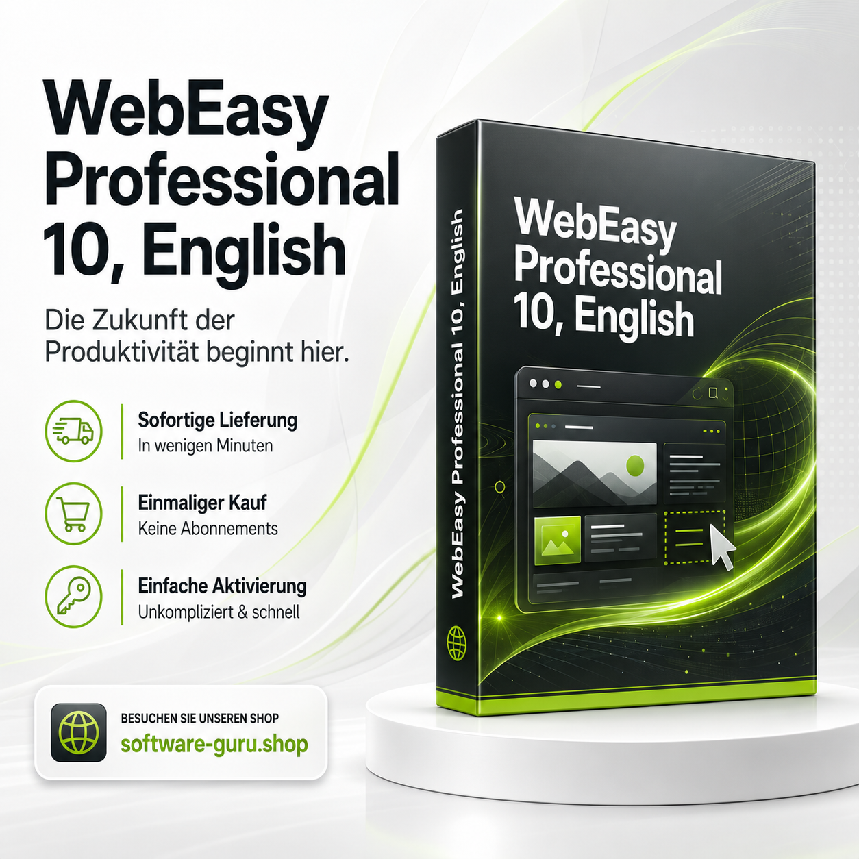 WebEasy Professional 10, English