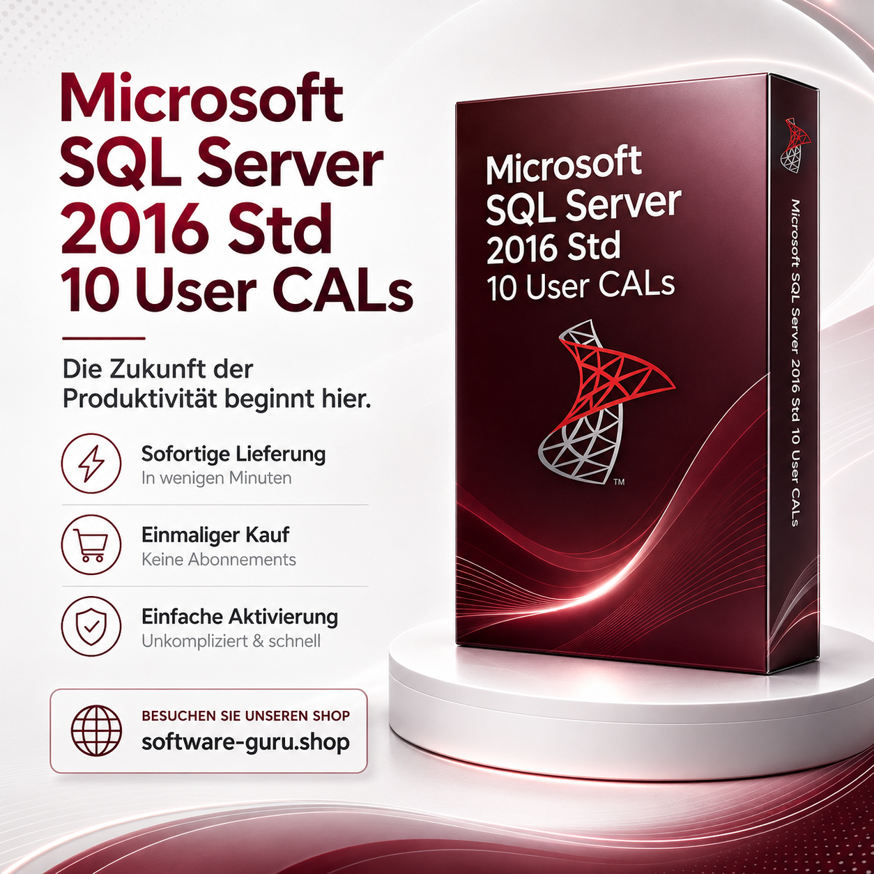 Microsoft SQL Server 2016 Std 10 User CALs