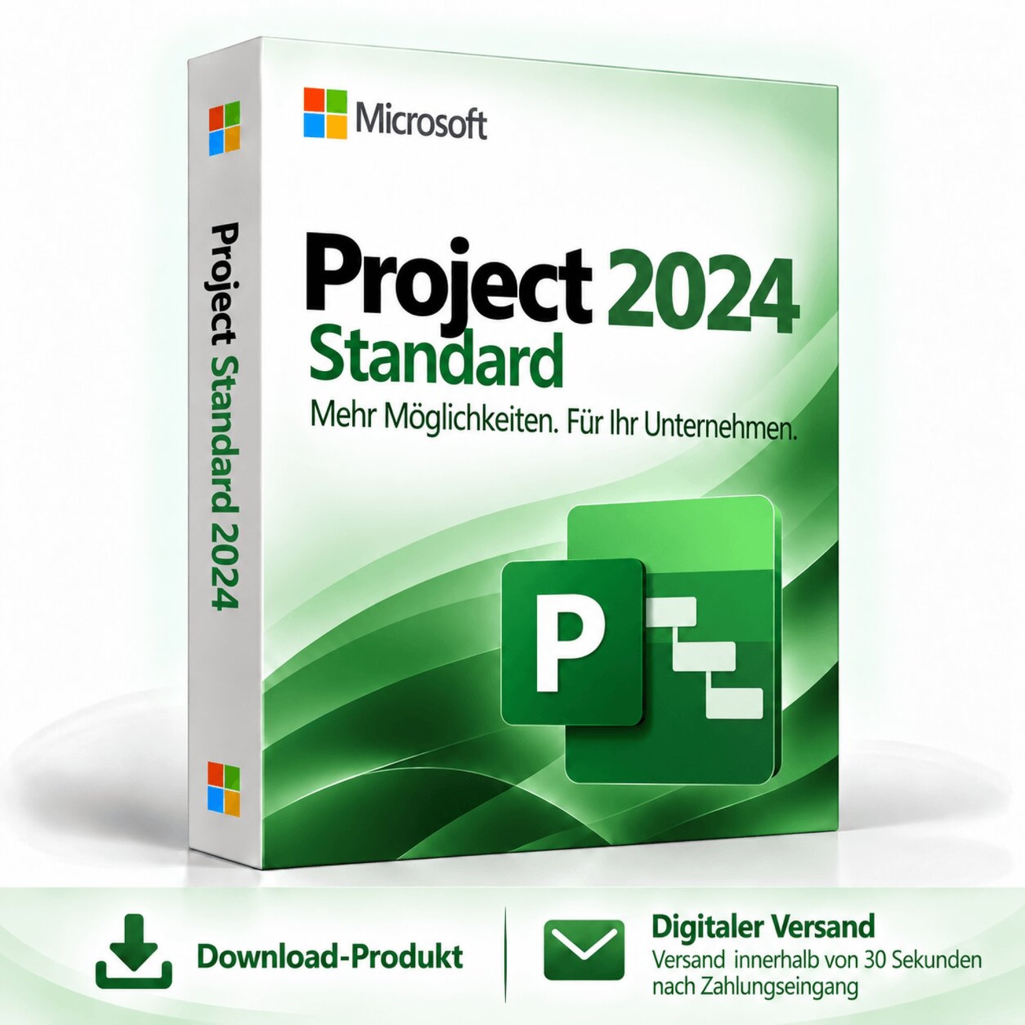 Microsoft Project 2024 Standard