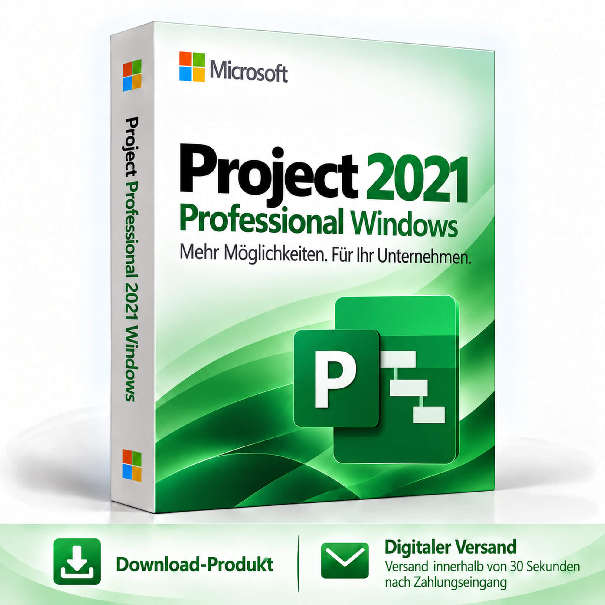 Microsoft Project 2021 Professional Windows