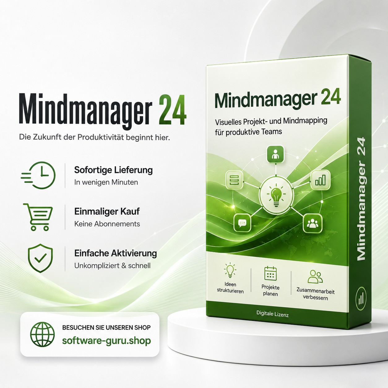 Mindmanager 24