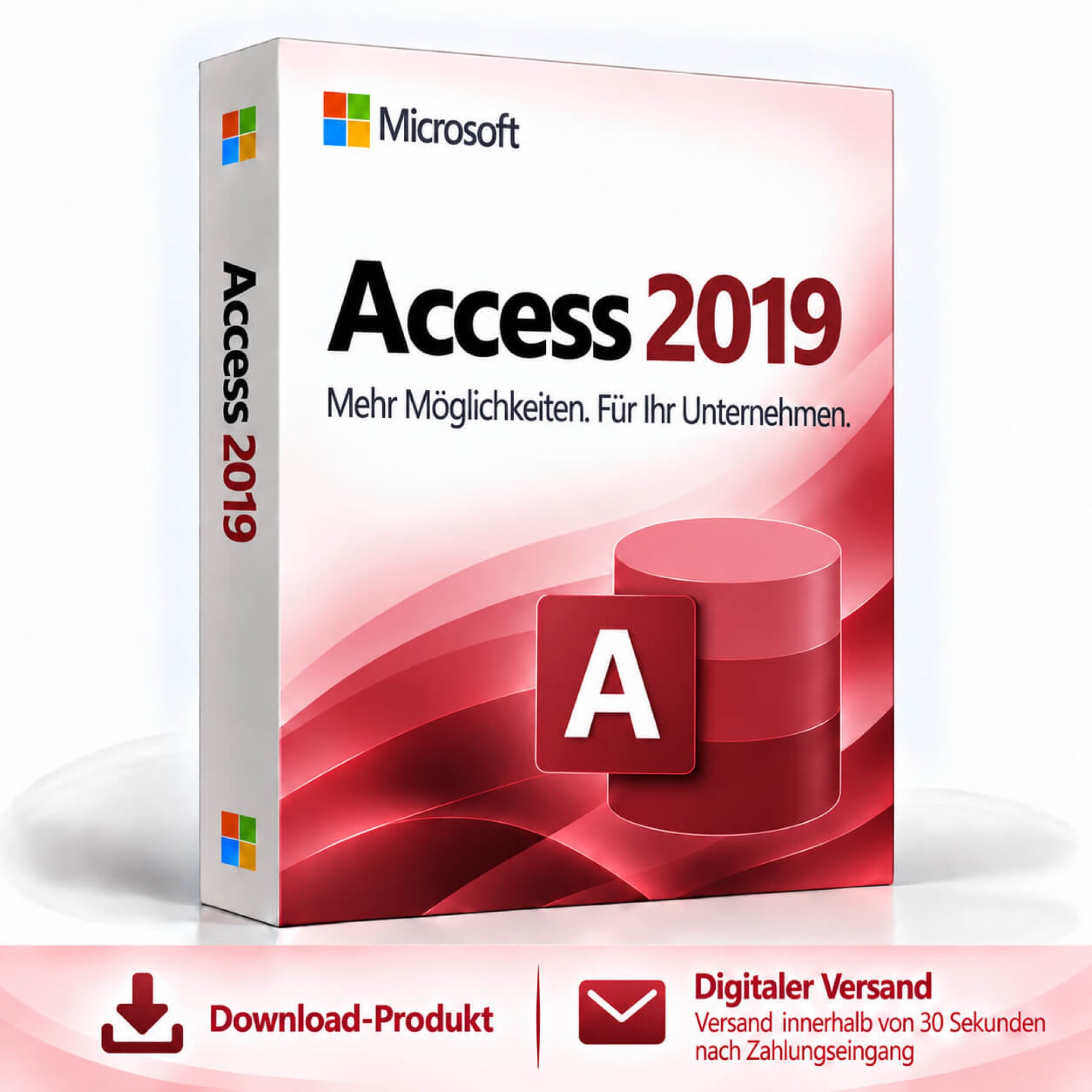 Microsoft Access 2019