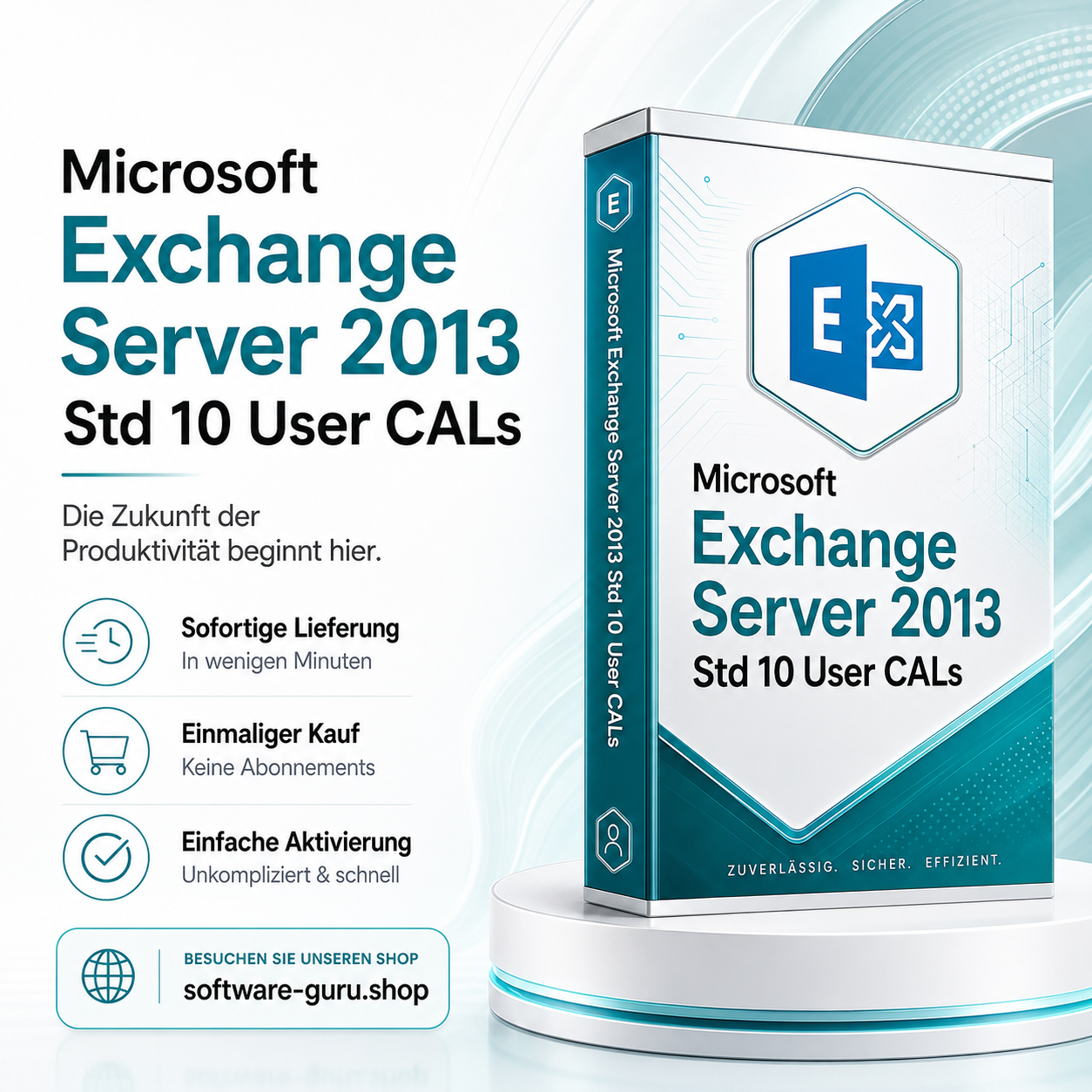 Microsoft Exchange Server 2013 Std 10 User CALs