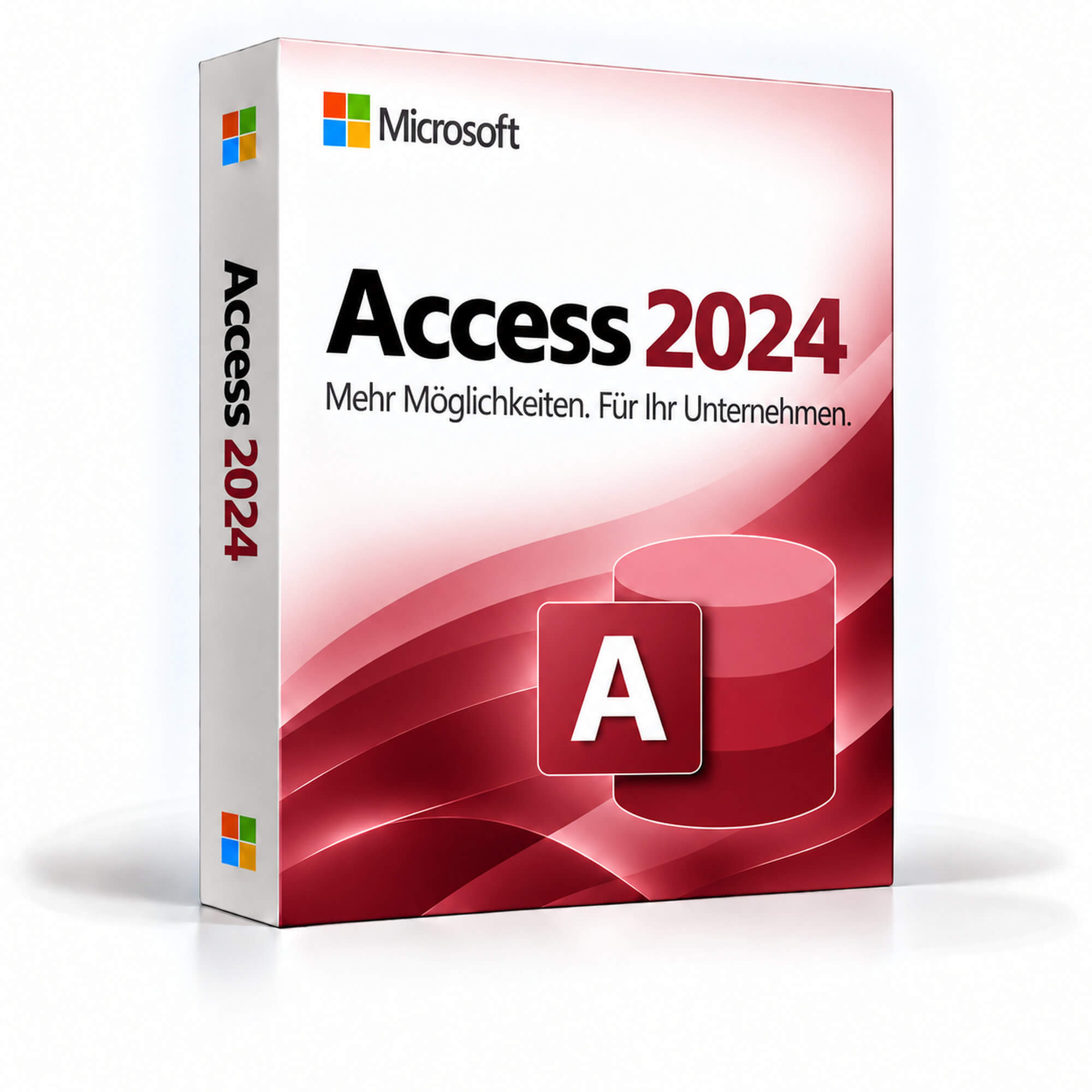 Microsoft Access 2024