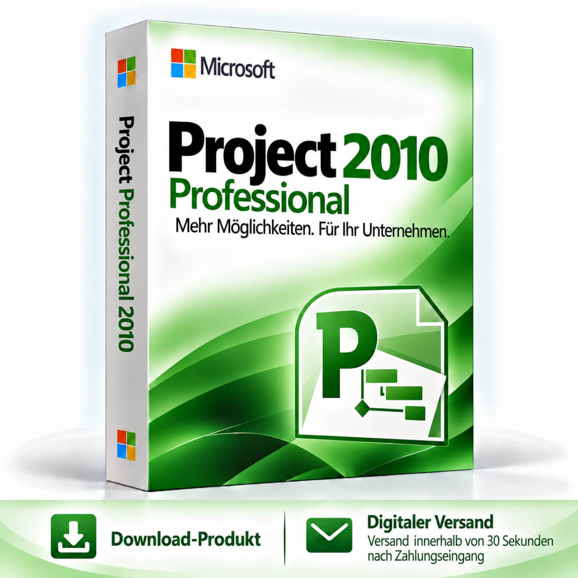 Microsoft Project 2010 Professional