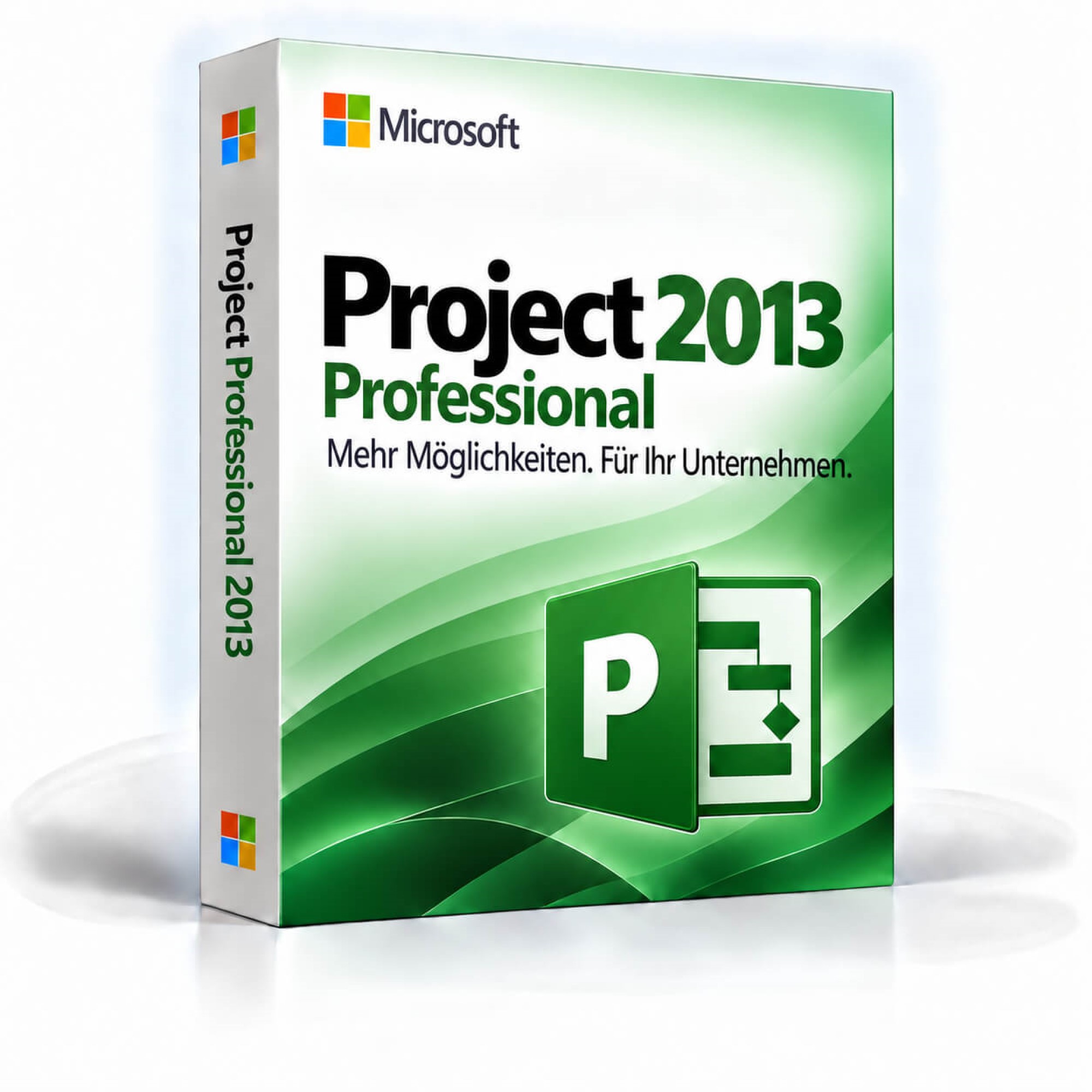 Microsoft Project 2013 Professional