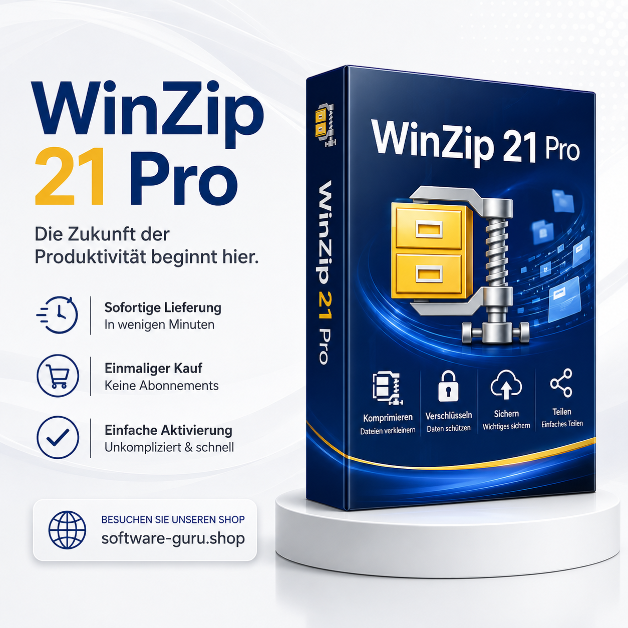 WinZip 21 Pro