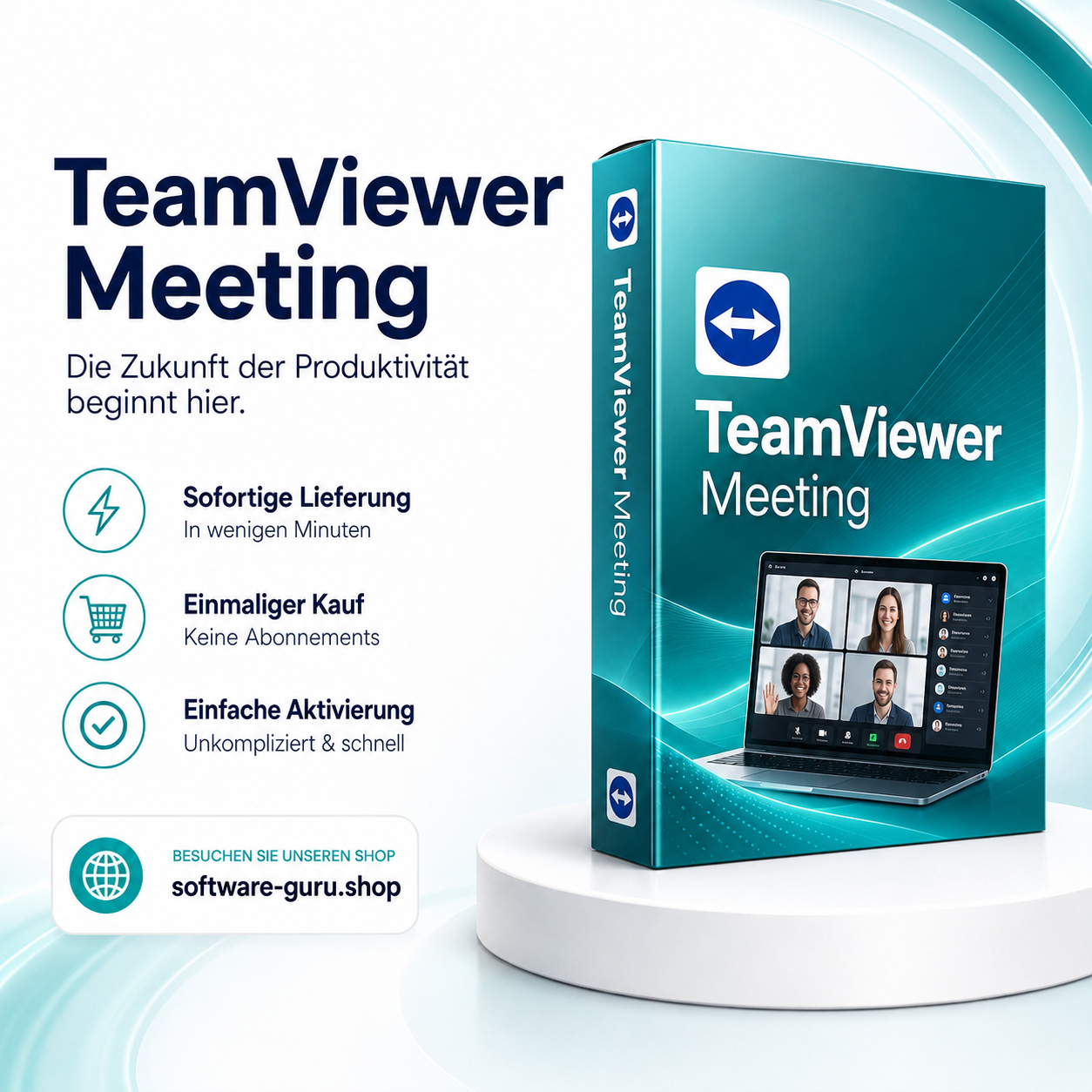 TeamViewer Meeting