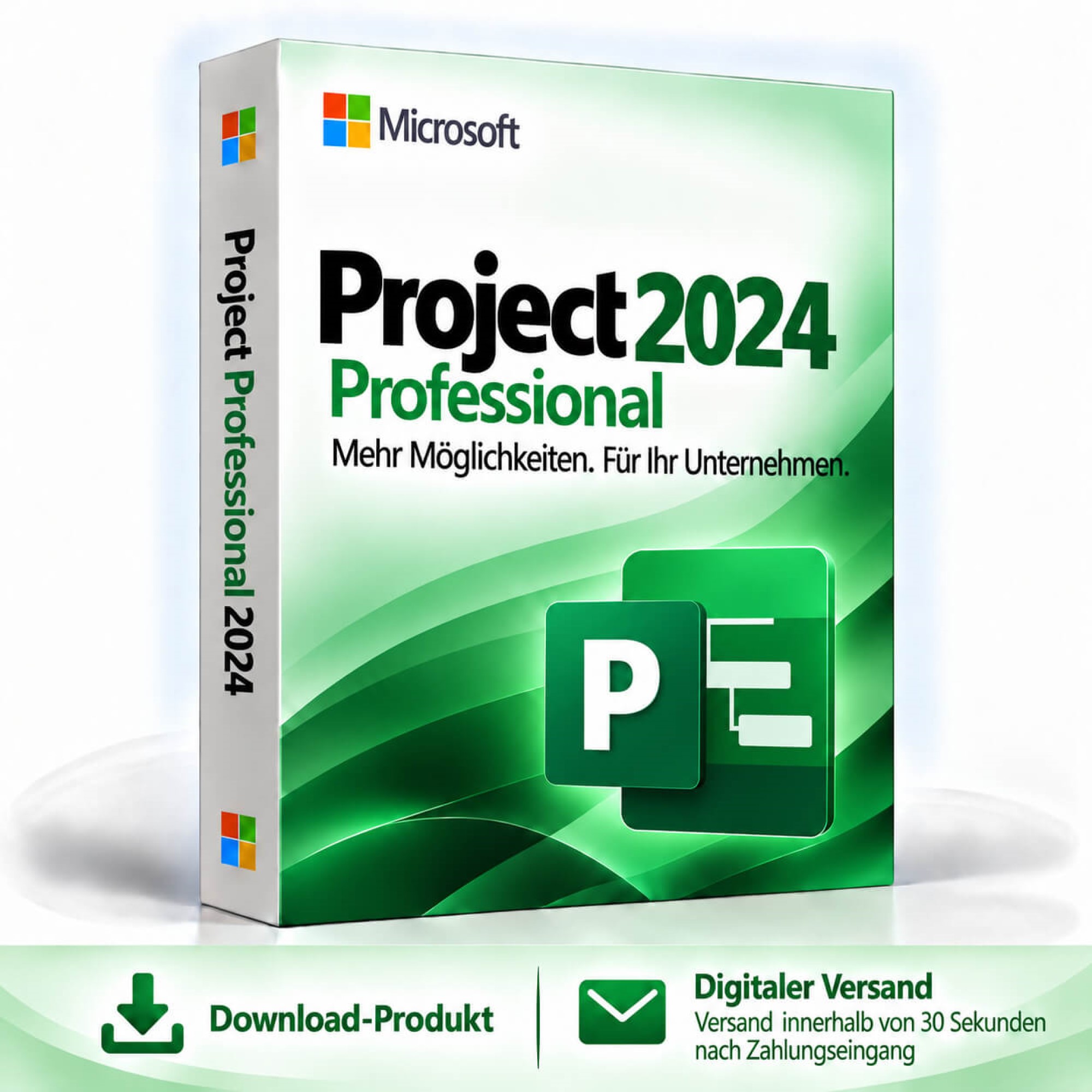 Microsoft Project 2024 Professional
