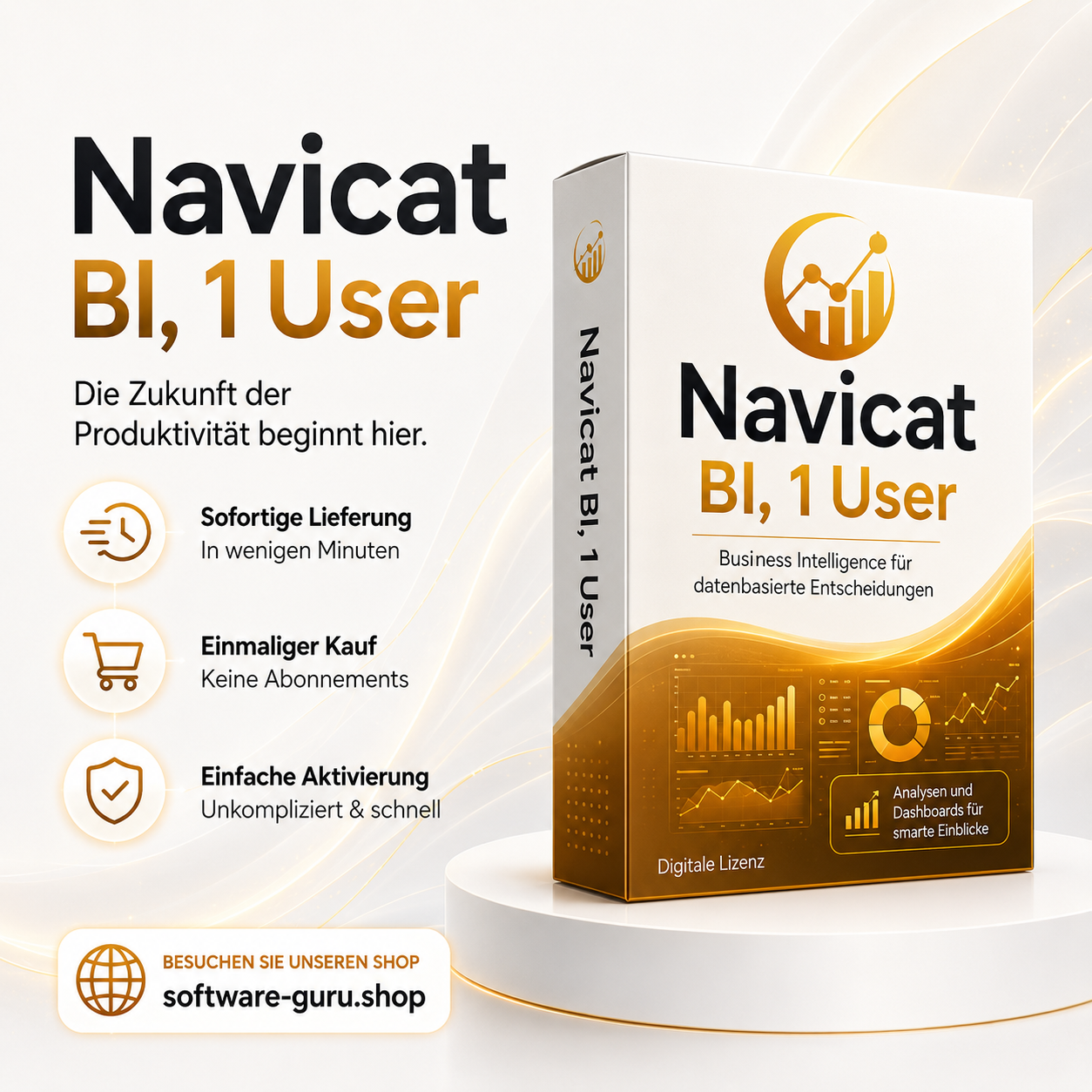 Navicat BI, 1 User