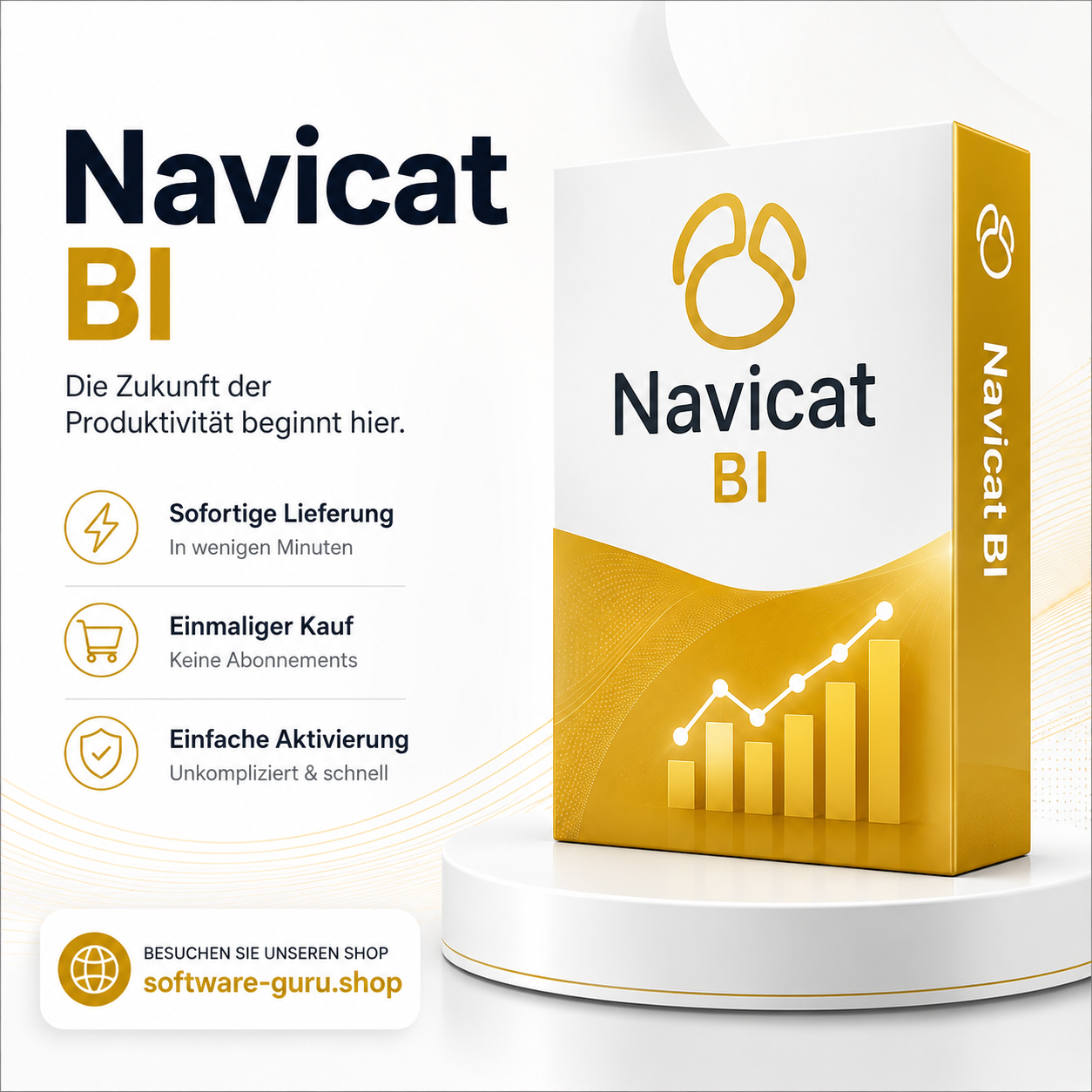 Navicat BI